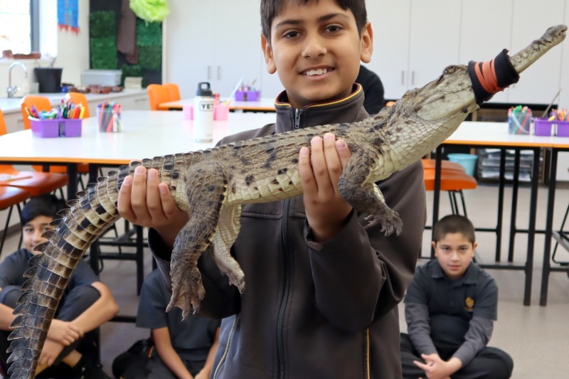 Year 5 Incursion: Australian Native Wildlife