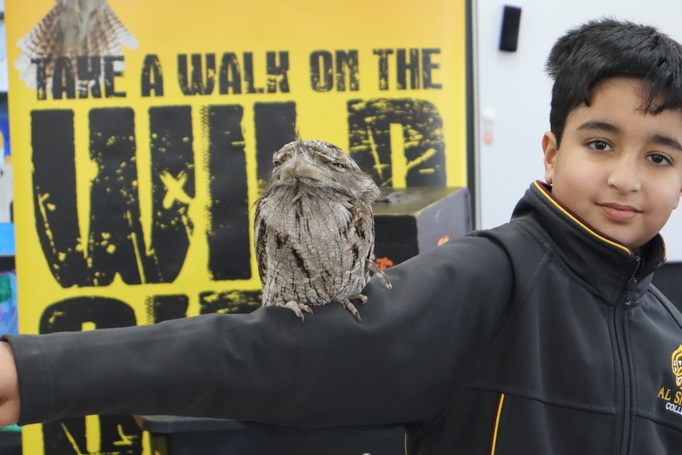 Year 5 Incursion: Australian Native Wildlife