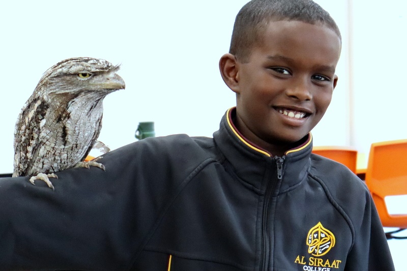 Year 5 Incursion: Australian Native Wildlife