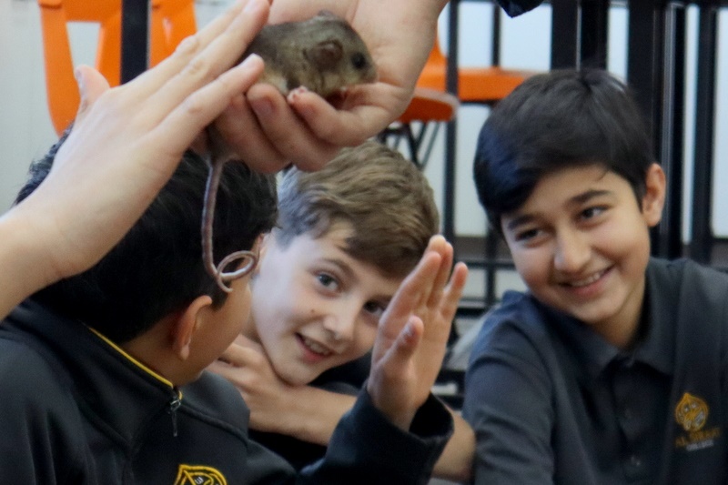 Year 5 Incursion: Australian Native Wildlife