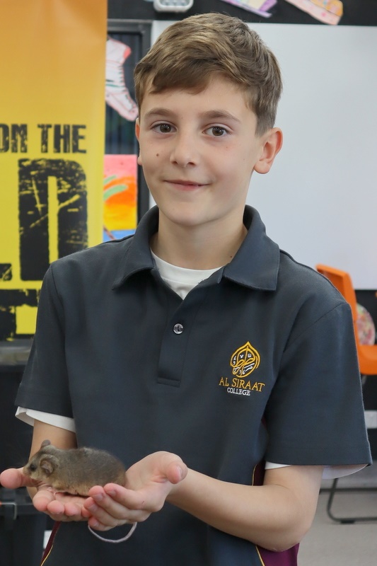 Year 5 Incursion: Australian Native Wildlife