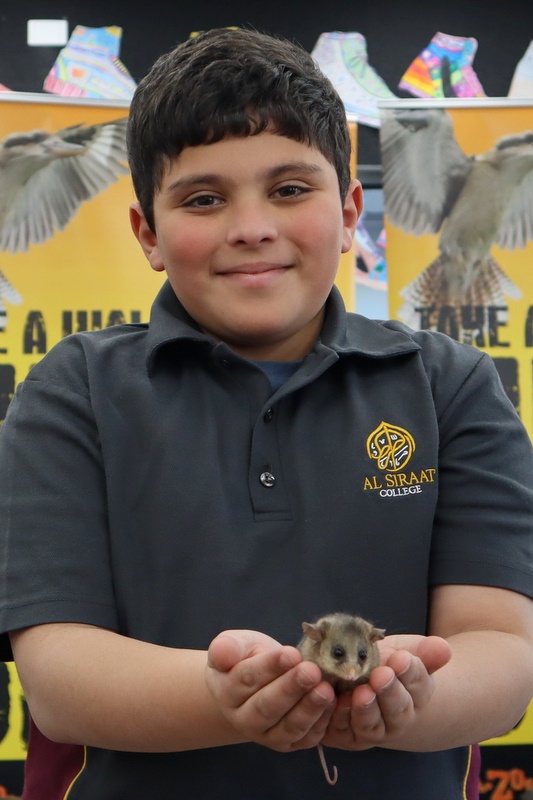 Year 5 Incursion: Australian Native Wildlife