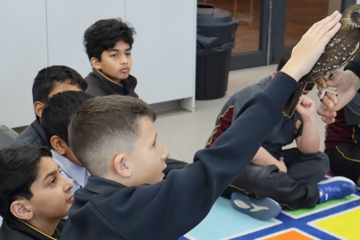 Year 5 Incursion: Australian Native Wildlife