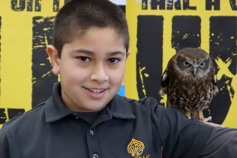 Year 5 Incursion: Australian Native Wildlife