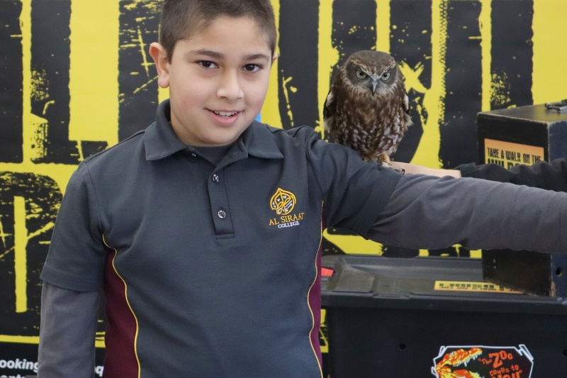 Year 5 Incursion: Australian Native Wildlife