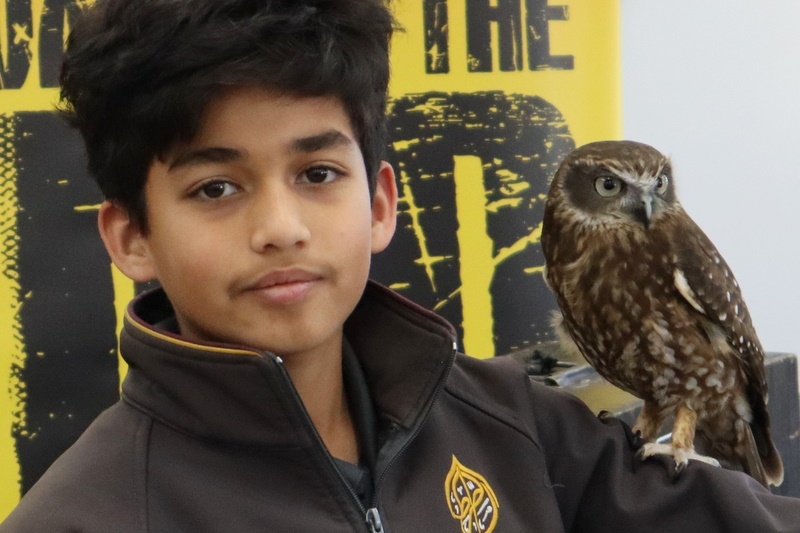 Year 5 Incursion: Australian Native Wildlife
