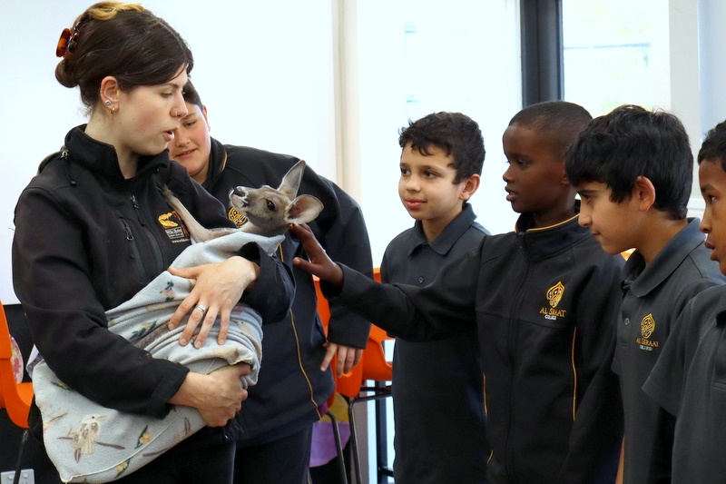 Year 5 Incursion: Australian Native Wildlife