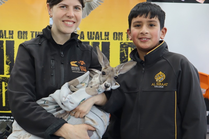 Year 5 Incursion: Australian Native Wildlife
