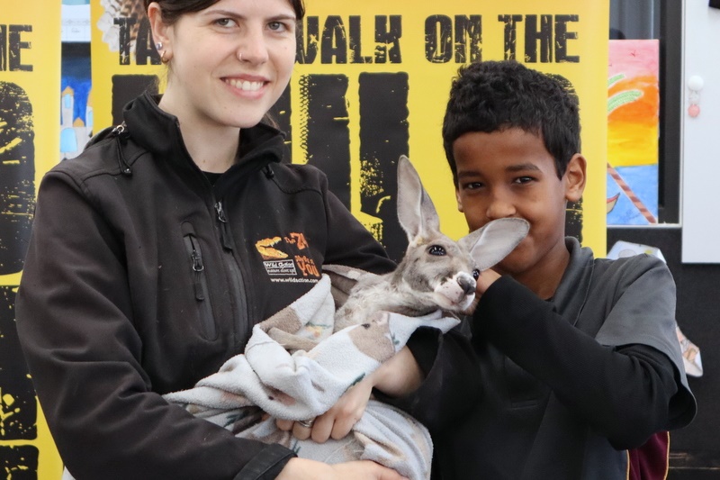 Year 5 Incursion: Australian Native Wildlife