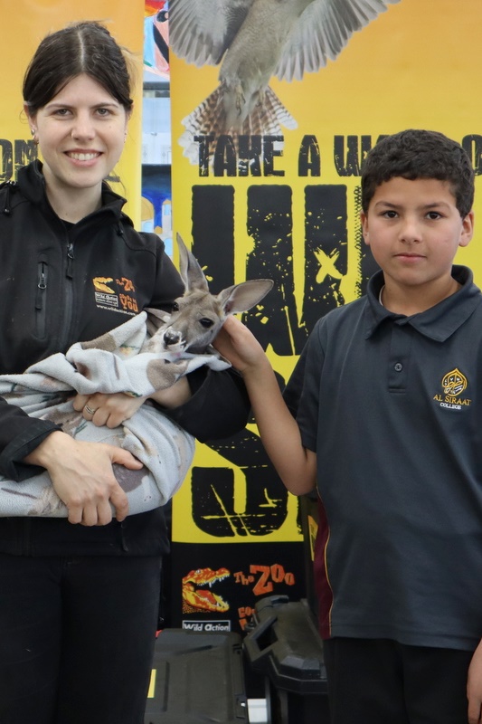 Year 5 Incursion: Australian Native Wildlife