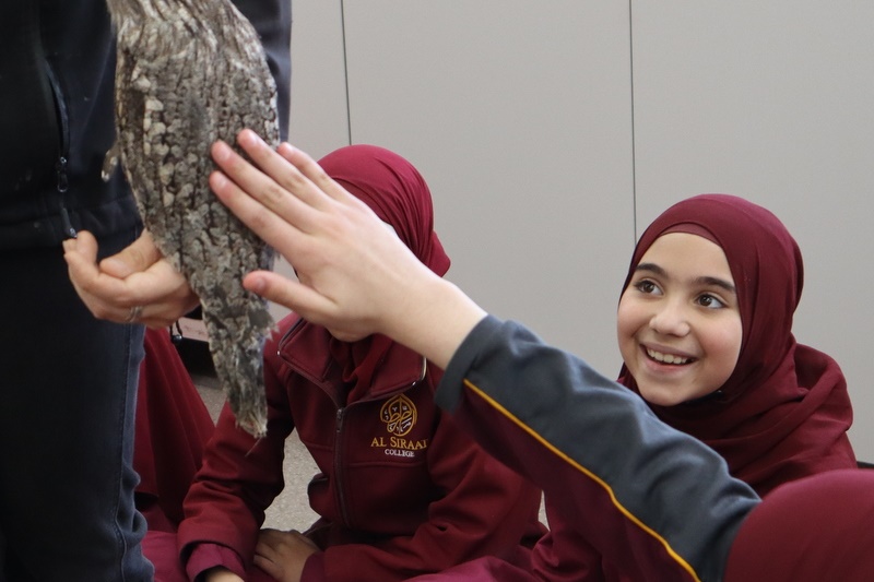 Year 5 Incursion: Australian Native Wildlife