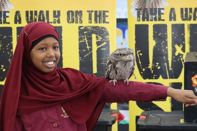 Year 5 Incursion: Australian Native Wildlife
