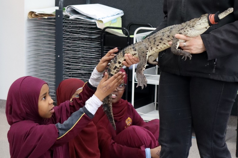 Year 5 Incursion: Australian Native Wildlife