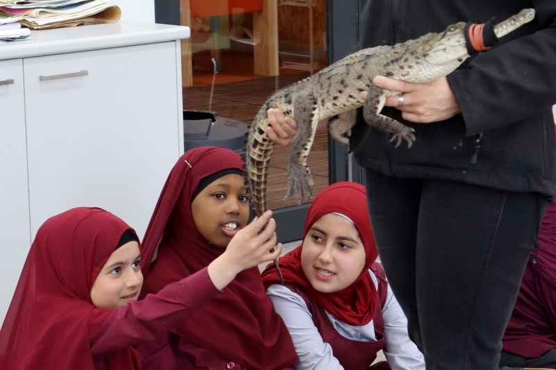 Year 5 Incursion: Australian Native Wildlife