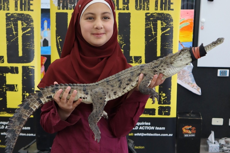 Year 5 Incursion: Australian Native Wildlife
