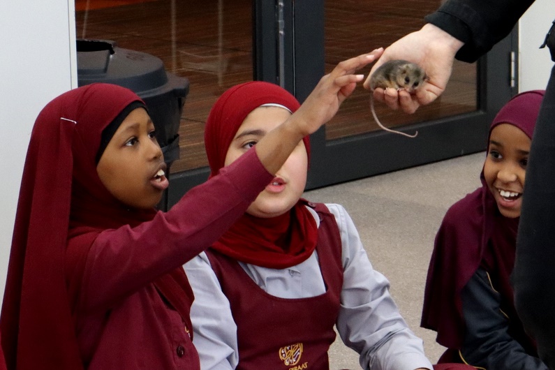 Year 5 Incursion: Australian Native Wildlife