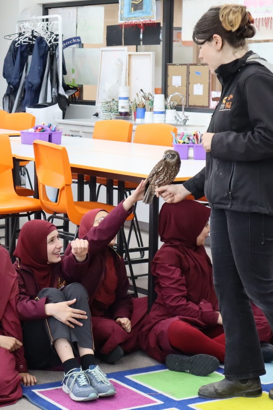 Year 5 Incursion: Australian Native Wildlife