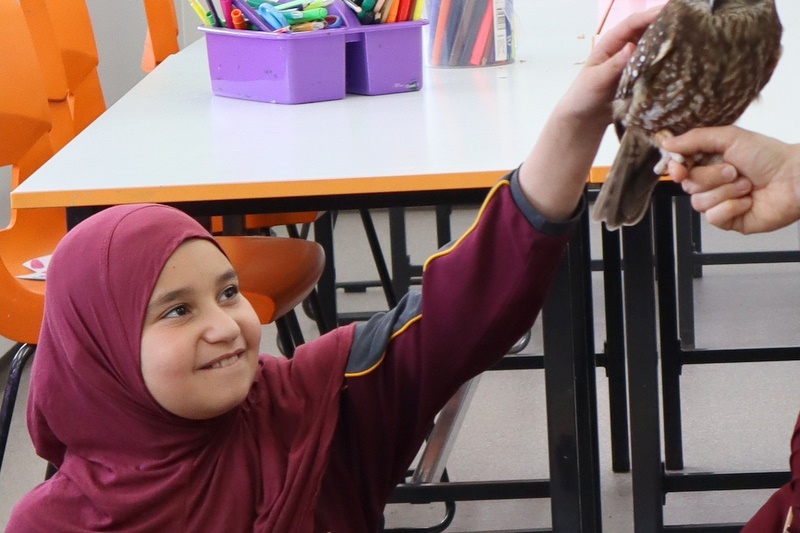 Year 5 Incursion: Australian Native Wildlife