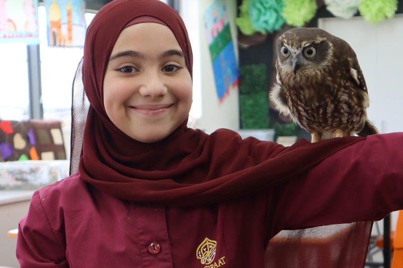 Year 5 Incursion: Australian Native Wildlife