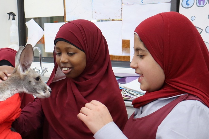 Year 5 Incursion: Australian Native Wildlife