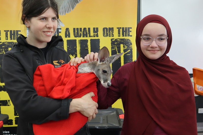 Year 5 Incursion: Australian Native Wildlife