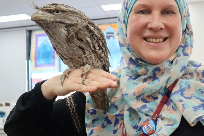 Year 5 Incursion: Australian Native Wildlife