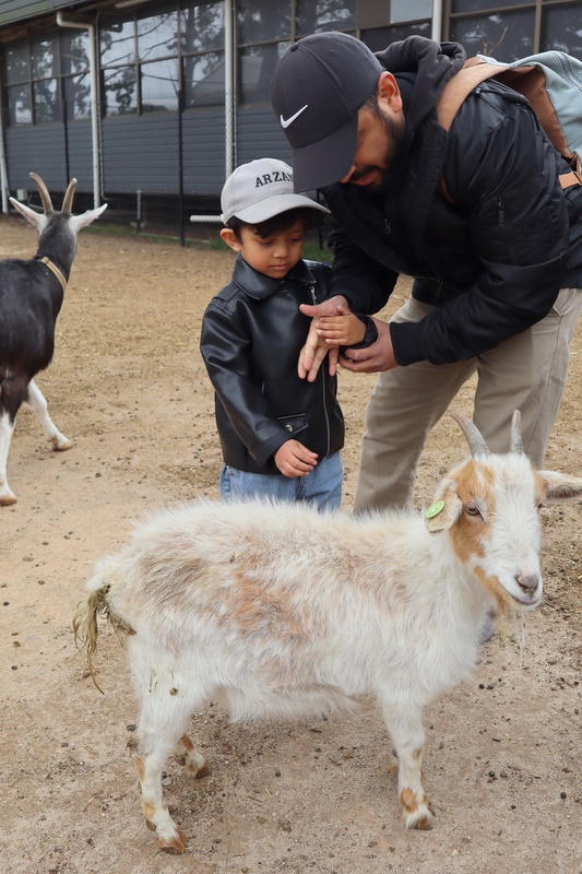 2025 Production: Year 1 Show