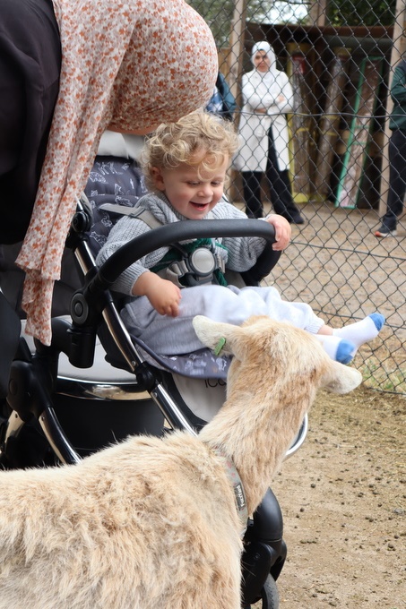 2025 Production: Year 1 Show