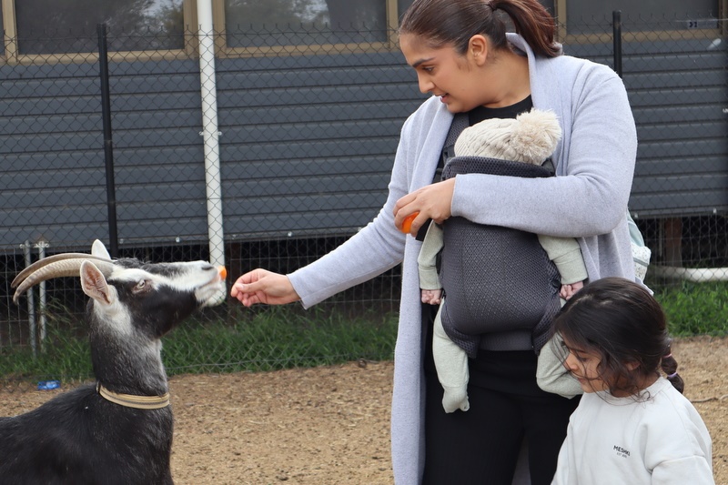 2025 Production: Year 1 Show