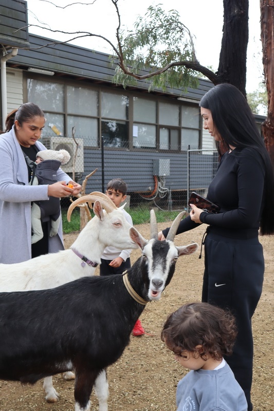 2025 Production: Year 1 Show