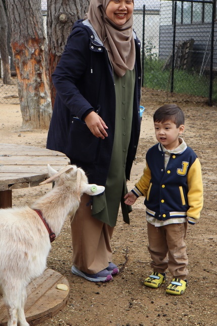 2025 Production: Year 1 Show