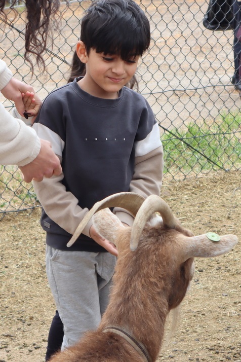 2025 Production: Year 1 Show