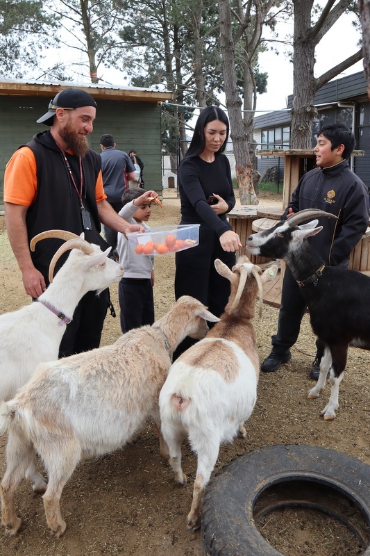 2025 Production: Year 1 Show