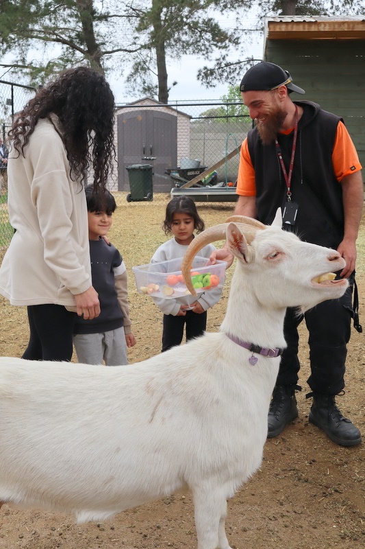 2025 Production: Year 1 Show