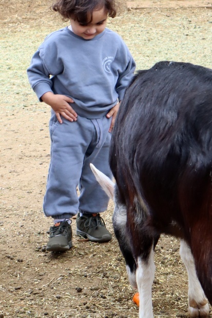 2025 Production: Year 1 Show