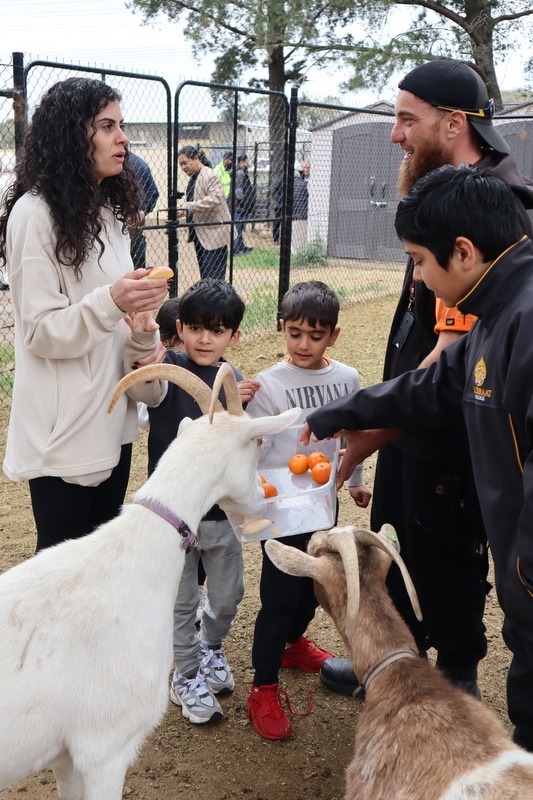 2025 Production: Year 1 Show