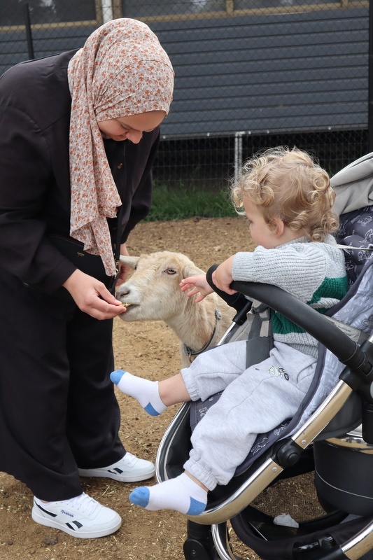 2025 Production: Year 1 Show