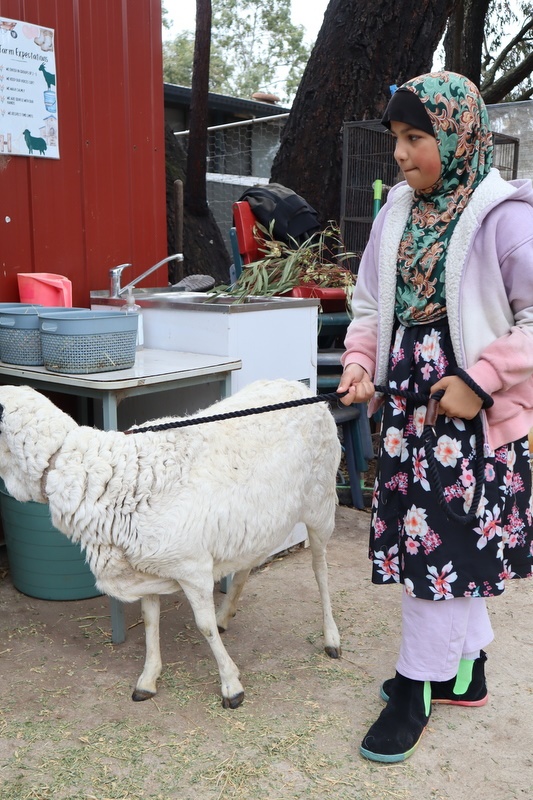 2025 Production: Year 1 Show