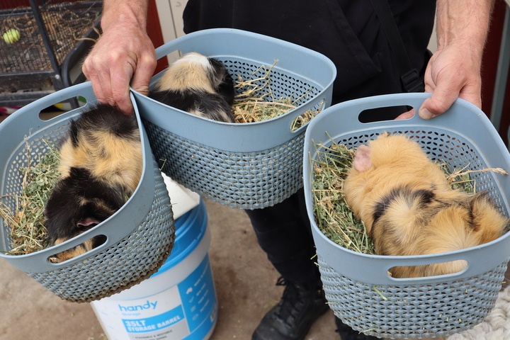 2025 Production: Year 1 Show