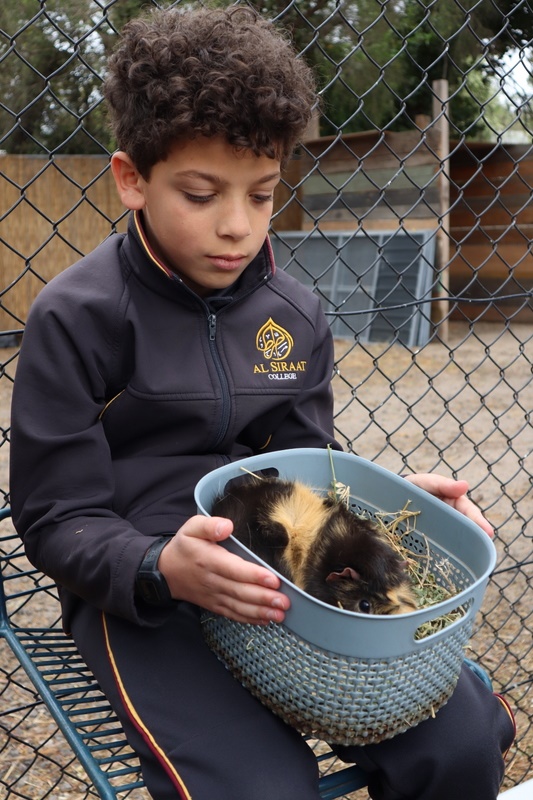 2025 Production: Year 1 Show