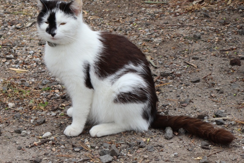 2025 Production: Year 1 Show