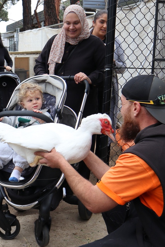 2025 Production: Year 1 Show