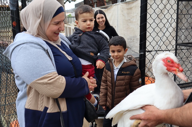 2025 Production: Year 1 Show