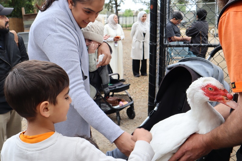 2025 Production: Year 1 Show