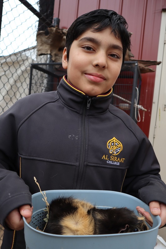 2025 Production: Year 1 Show