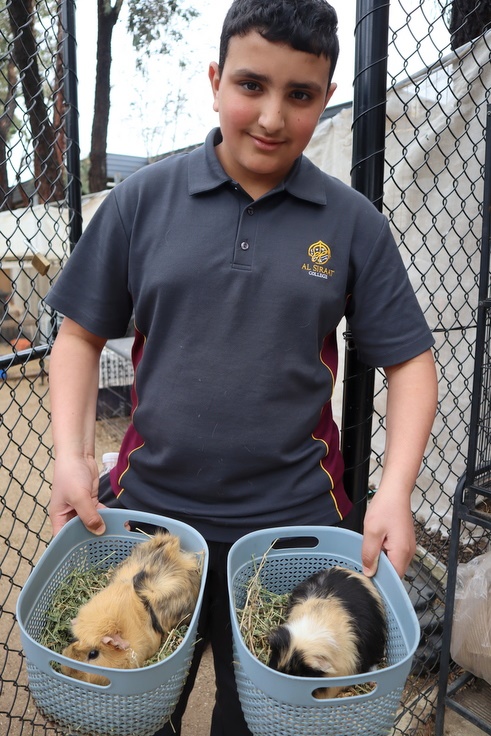 2025 Production: Year 1 Show