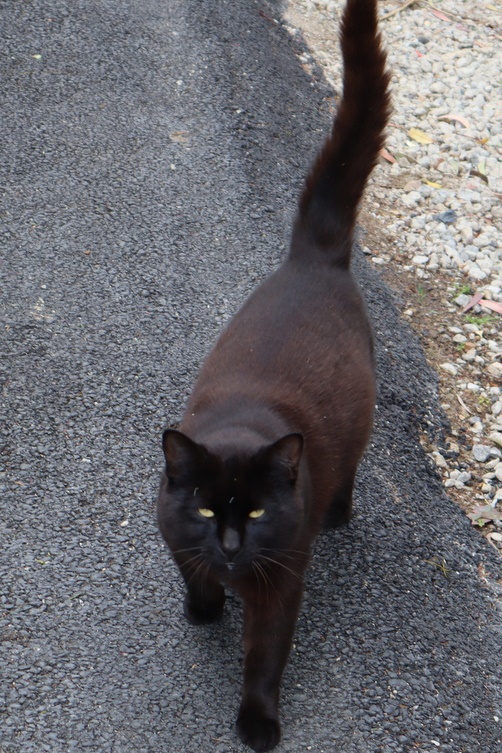 2025 Production: Year 1 Show