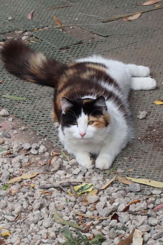 2025 Production: Year 1 Show