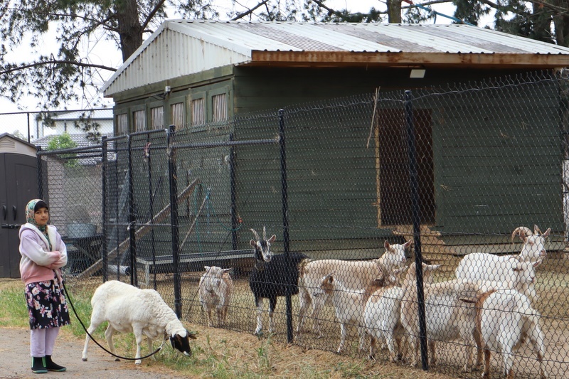 2025 Production: Year 1 Show