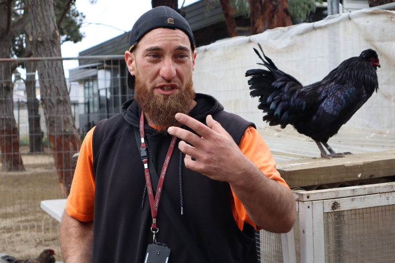 2025 Production: Year 1 Show